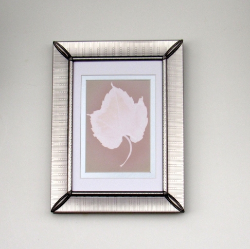 Chicago Illumenation I by Natasha Sanchez | RC photographic paper, leaves, SUNLIGHT, frame Chicago Illumenation I